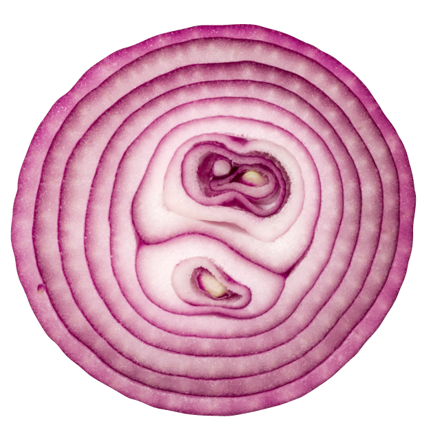 玉ねぎ